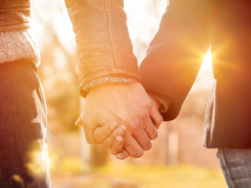 Tohum ve filiz — üreme ve yeni yaşam
