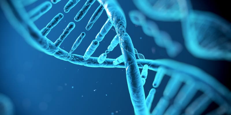 DNA çift sarmalı — moleküler genetik ve yeni nesil dizileme